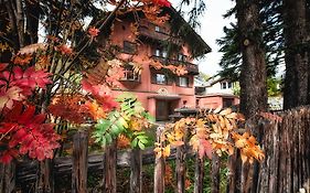 Chalet Speciale - Celerina